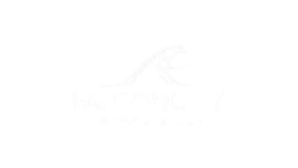 Falconcity Company Logo